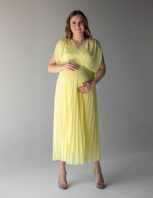 Chiffon Plissé Dress